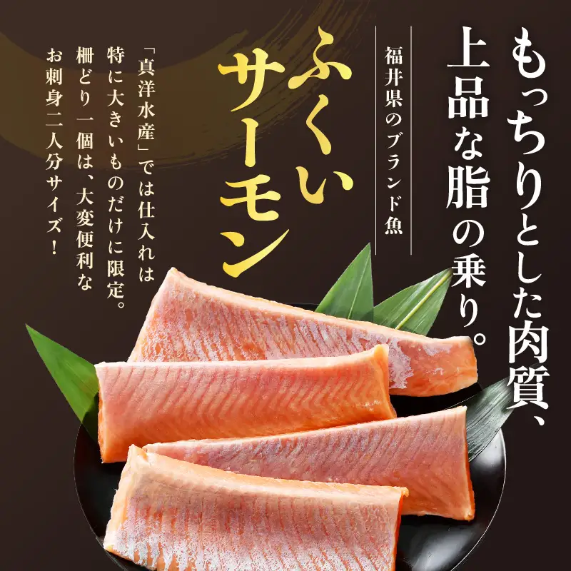 《定期便3回》ふくいサーモン 柵どり 150g×4パック 計600g ＜鮮度抜群！＞ ／サーモン 鮭 [aw002-f003]