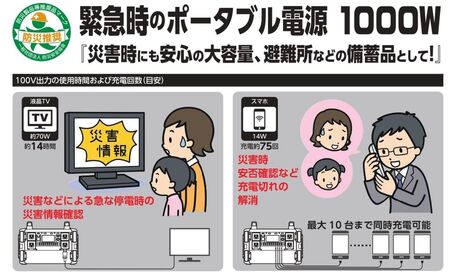 ポータブル電源パワーバンク1000 [0811]