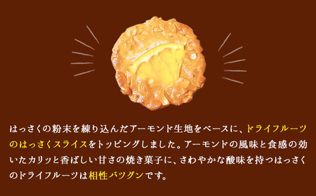 ほろにがスイーツ・はっさく焼き菓子 はっさくプーロ 1箱　【アミティ有限会社 観光特産センターこかわ】《90日以内に出荷予定(土日祝除く)》 和歌山県 紀の川市