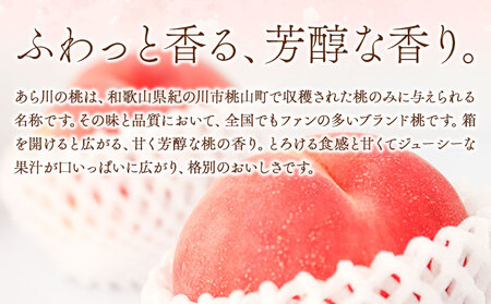 桃 あら川の桃 約2kg 5～8玉