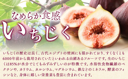 新鮮いちじく約300g×4パック入