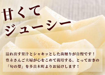 【2026年8月中旬～発送】豊永の 梨 約3kg 熊本県 070-0593