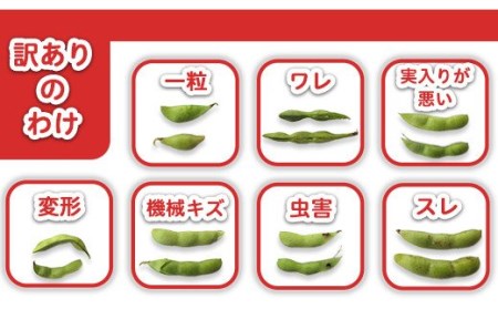 75E-B5A【訳あり】新潟長岡産枝豆長岡茶豆5.0kg【B品】