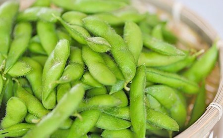 75E-15新潟県長岡産枝豆2.0kg【長岡茶豆250g×8袋入り】