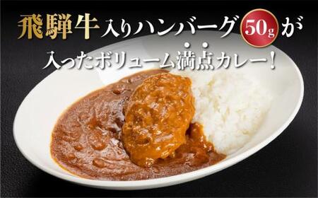 飛騨牛入りハンバーグが入ったレトルトカレー 6食 飛騨高山牧場 HG006 | 高山市 レトルトカレー