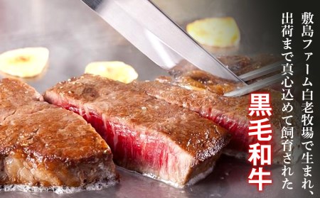 白老和牛ステーキセット《敷島ファーム》