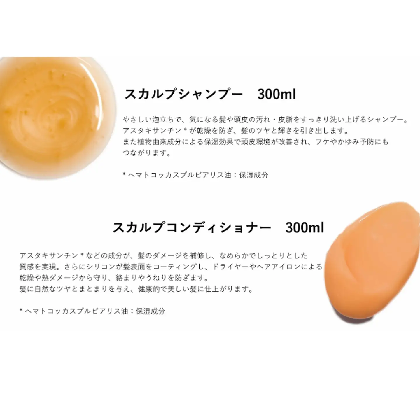 Silaヘアケア2点セット【佐賀産アスタキサンチン配合】：B175-014
