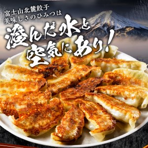 富士山北麓 餃子 120個 ぎょうざ 冷凍 餃子 ギョーザ
