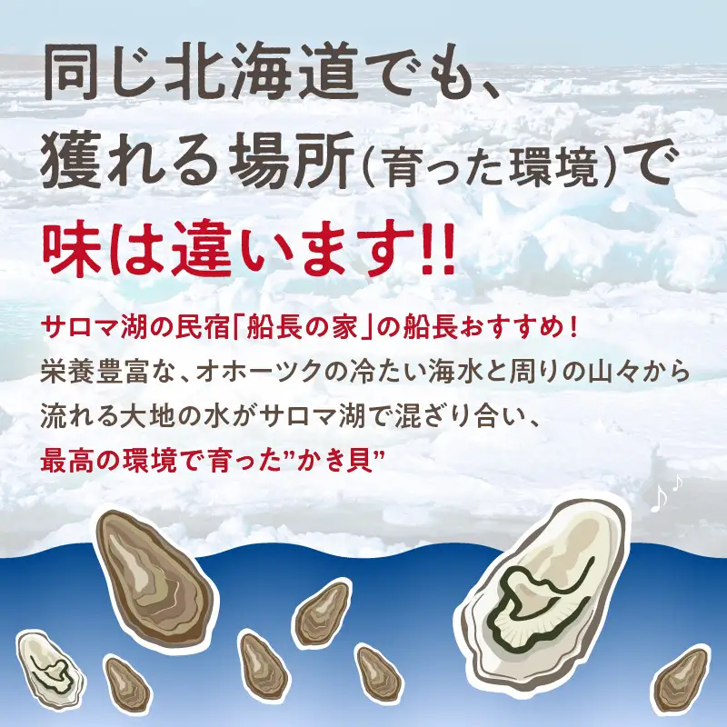 【予約：2026年10月中旬から順次発送】サロマ湖自慢の殻付きカキ貝 2年物 4kg詰め ( 牡蠣 かき 濃厚 魚介類 貝類 カキ ふるさと納税 牡蠣 北見市 BBQ )【114-0071-2026】