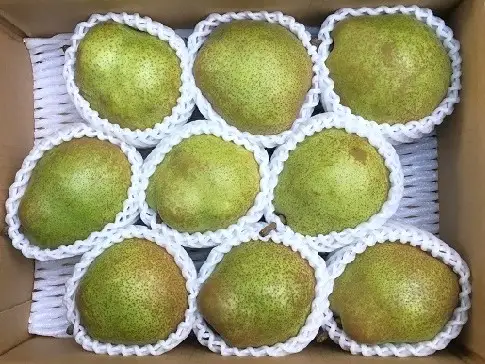 西洋梨（ラ・フランス）3kg ご家庭用 0134-2601 | 山形県上山市