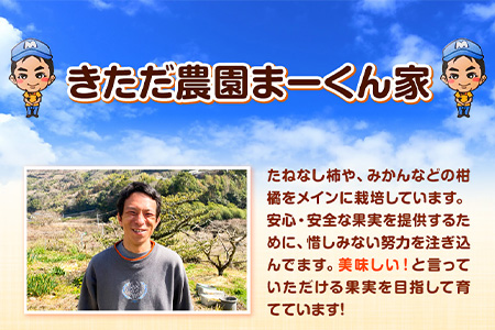 【訳あり】まーくん家のたねなし柿 約5kg かき 種なし きただ農園まーくん家 《2026年9月下旬-10月末頃出荷》 和歌山県 紀の川市