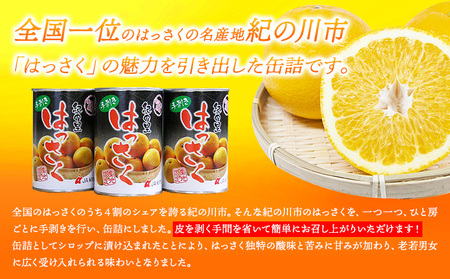手剥き八朔缶詰(ミックス)450g×8本入 JAわかやま 紀の里地域本部 《90日以内に出荷予定(土日祝除く)》和歌山県 紀の川市