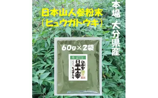 日本山人参（ヒュウガトウキ）粉末 本場大分県産 F09002