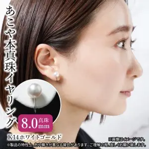 あこや本真珠イヤリング 真珠8.0mm 14Kホワイトゴールド R14112