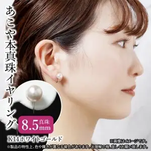 あこや本真珠イヤリング 真珠8.5mm 14Kホワイトゴールド R14113