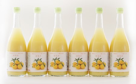 はるか ジュース 720ml 6本 無添加 果汁 100% 柑橘 果物 国産 フルーツ 有名 愛媛 みかん 職人 武田屋 蜜柑 ブランド オレンジ 愛媛県産 果実 ビタミン 美味しい 生産者 直送 産直