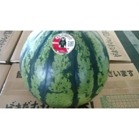 大玉すいか　1玉8kg以上【1260676】