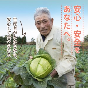 野菜【旬のお野菜大満足セット】道の駅松浦海のふるさと館【A8-040】