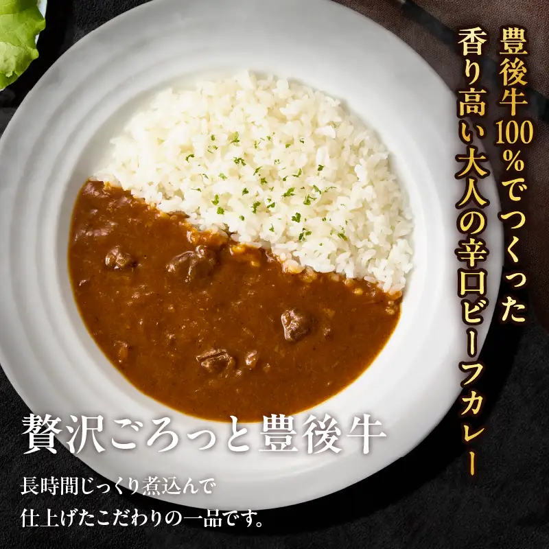 百膳の夢　豊後牛入りスパイシーカレーギフト_B081-010