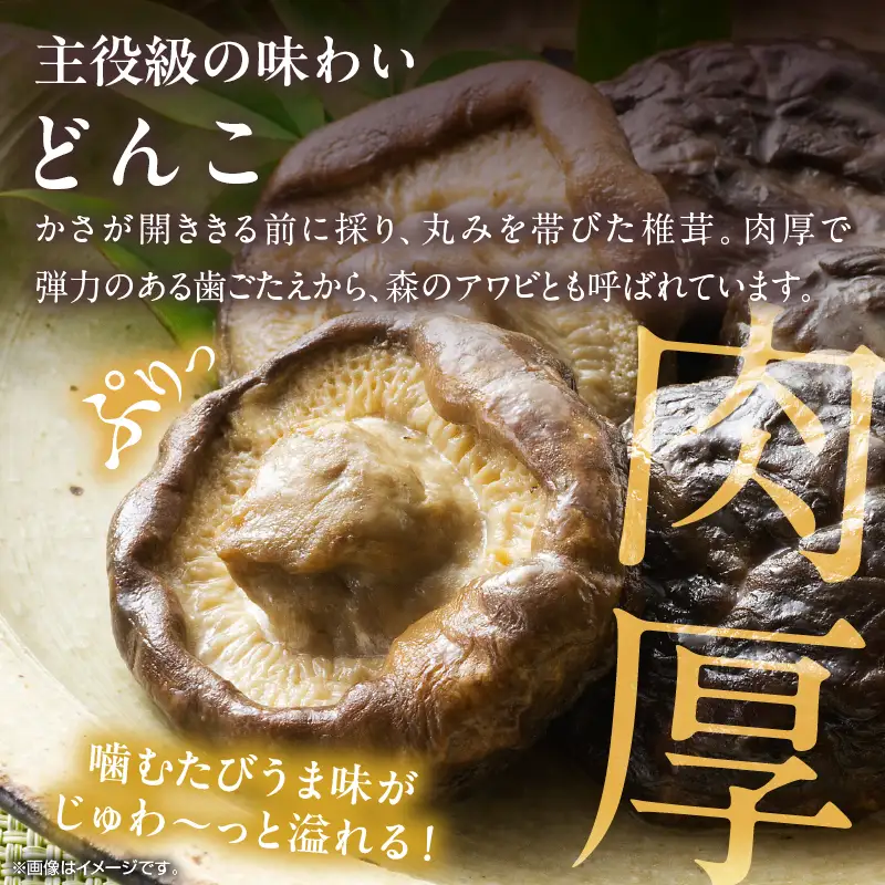 大分県産乾しいたけ（冬菇130g・香信120g）_B081-028