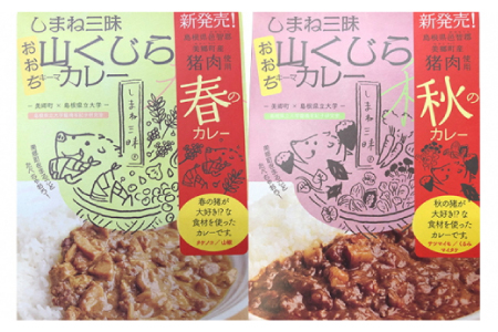 みさと産直 山くじらキーマカレーセット（松）