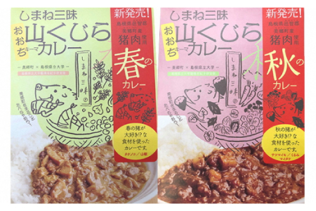 みさと産直 山くじらキーマカレー＆ライスセット【3か月定期便】