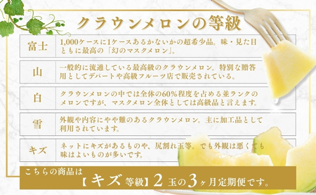 【3か月定期便】クラウンメロン 訳あり2玉
