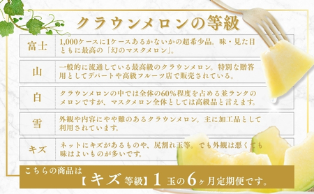 【6か月定期便】クラウンメロン 訳あり1玉