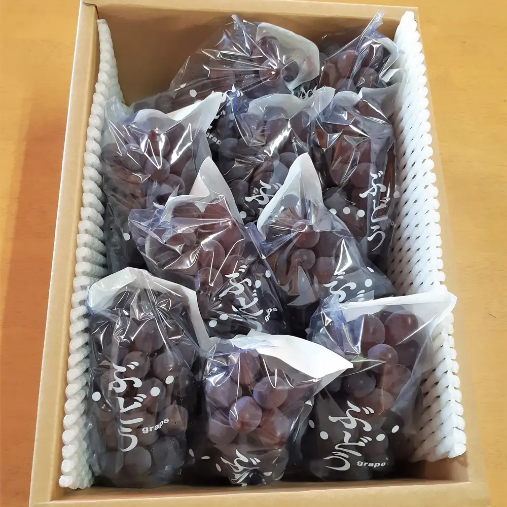 松田農園の種なしぶどう「キングデラ」１.８ｋｇ　0057-2602