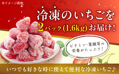 いちご【冷凍】紅ほっぺ 800g×2パック[AGBN041] いちご 苺