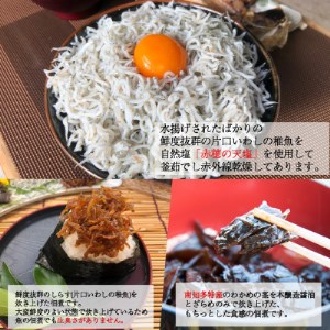 岬だより 愛知県産 しらす・佃煮セット [配送不可地域：離島]