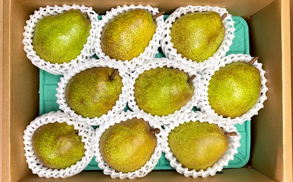 西洋梨（ラ・フランス）３ｋｇ　ご家庭用　0065-2607