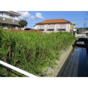 草刈り作業　12,000円引きクーポン