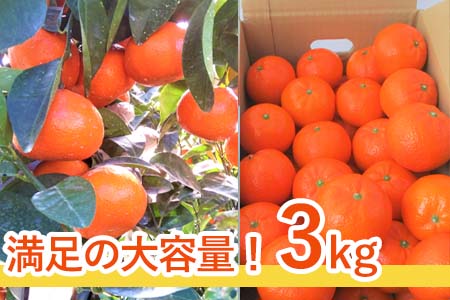 『先行予約』【令和9年2月中旬発送】マーコット(ハウス栽培) 唐津産 3kg みかん ミカン 果物 フルーツ