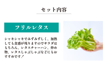 3種のレタス 各500g×2パック 1kg | レタス
