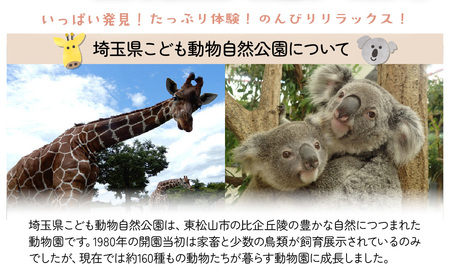 年間パスポート 埼玉県こども動物自然公園 小人2名分 | 年間パスポート 動物園
