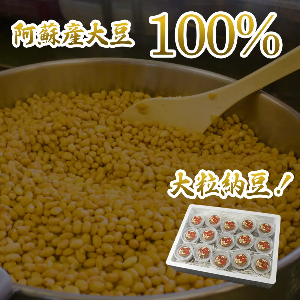 阿蘇産大豆100％手作り納豆　「おふくろの味」60個
