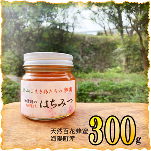 天然百花蜂蜜 300g