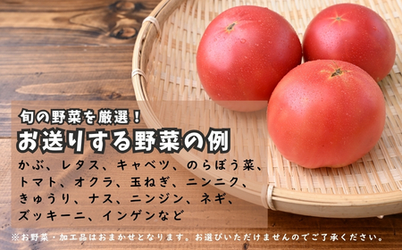 季節の野菜&市内産加工品 詰め合せセット | 野菜