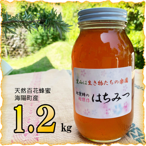天然百花蜂蜜 1.2kg ハチミツ はちみつ honey