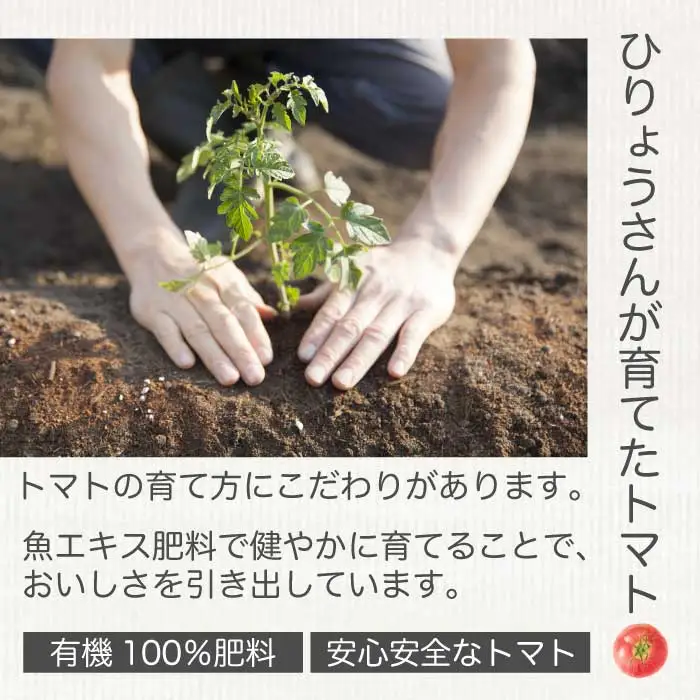 ひりょうやさんの トマトジュース 500ml トマトジュース 野菜ジュース トマト 野菜 無添加 広島県 三原市 042001