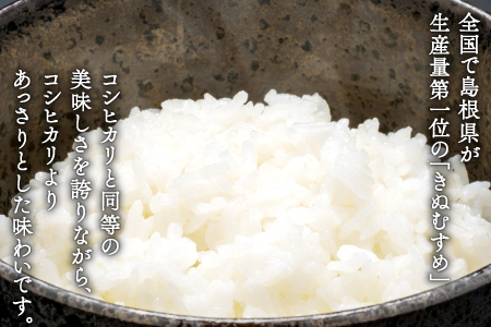 美郷町産きぬむすめ 10kg【お米 10kg 5kg×2袋 精米 白米 ブランド米 米 きぬむすめ お米】