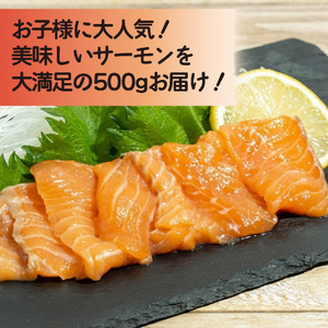 サーモン 計500g サーモン