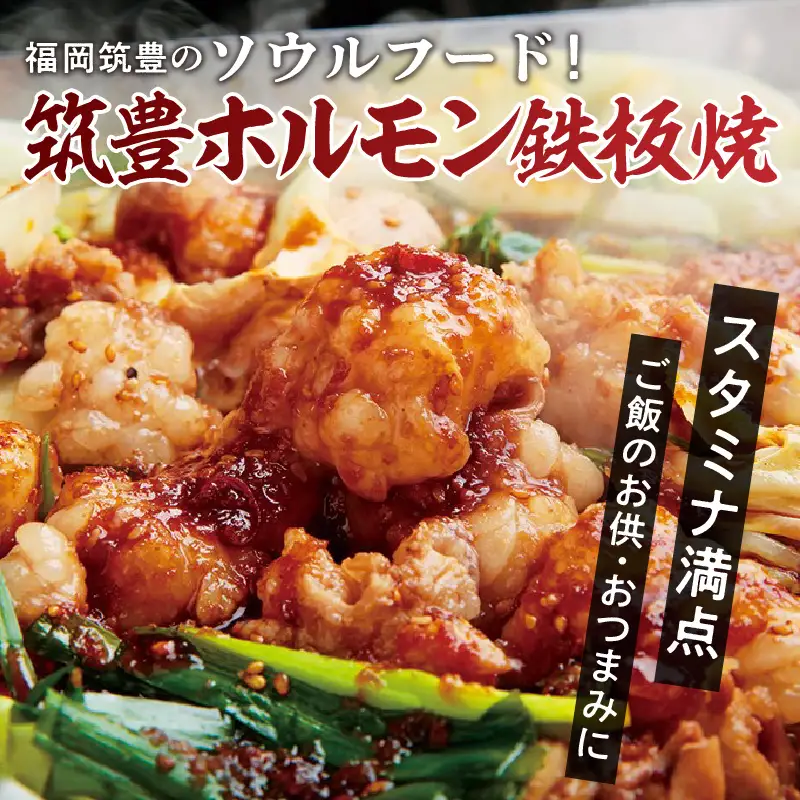 福岡名物 筑豊ホルモン鉄板焼 2人前【A5-478】