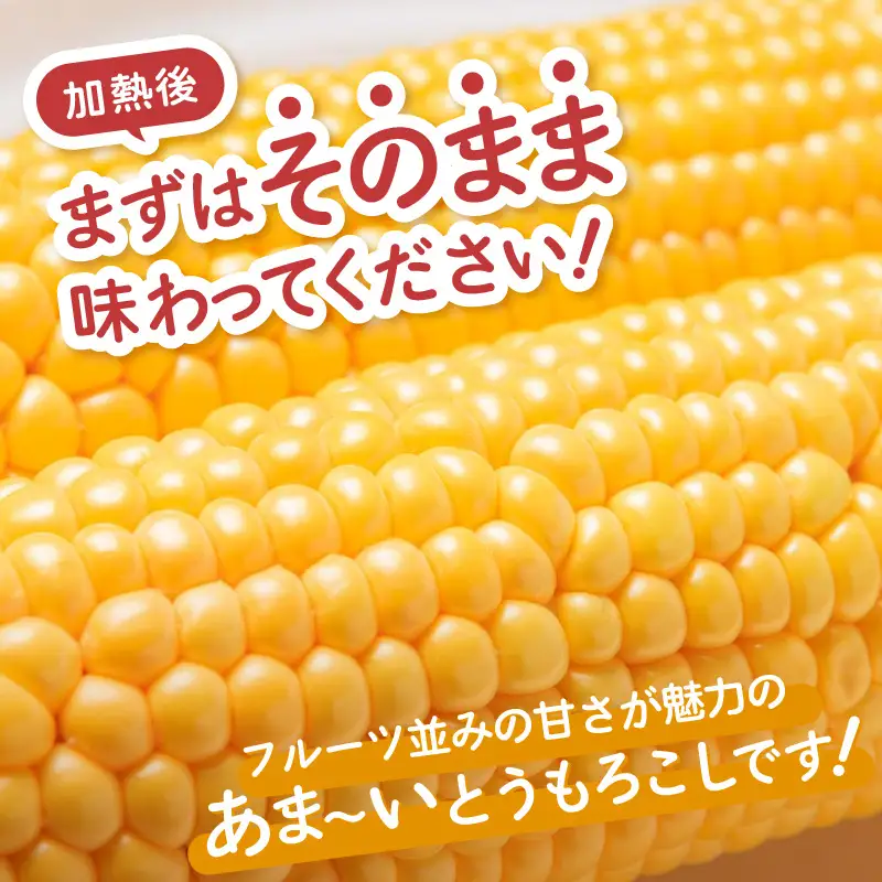 【先行予約】秋とうもろこし 8本 おおもの 黄色 朝採り ／ 期間限定 数量限定 ハウス栽培 産地直送 甘い スイートコーン とうもろこし 野菜 あわら ※2026年10月10日より順次発送 [aw039-a011]