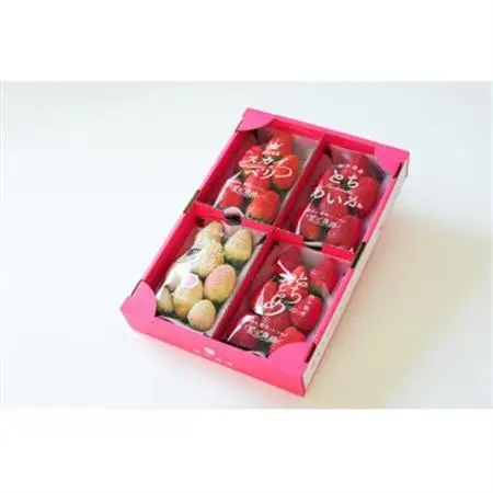 【春いちご 】栃木のいちご4種詰め合わせセット!(300g×4パック)_果物・フルーツ いちご  イチゴ 苺_【配送不可地域：離島】【1290961】