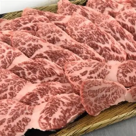 【A5A4等級使用】博多和牛ロース焼肉用500g(大牟田市)_肉 焼肉 牛肉 やきにく ヤキニク バーベキュー_【配送不可地域：離島】【1288268】