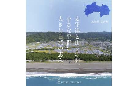 朝どれ！野菜の詰合せ／芸西村で採れた新鮮な野菜6～8種類をお届けします。
