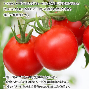 超トマトゼリー　６個セット