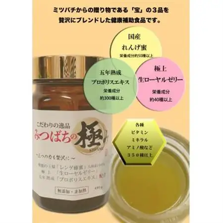 みつばちの極み480g入_惣菜・加工品   _【配送不可地域：離島】【1291549】